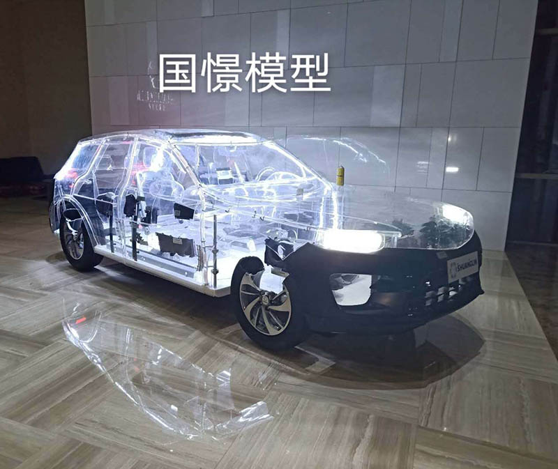 湟源县透明车模型